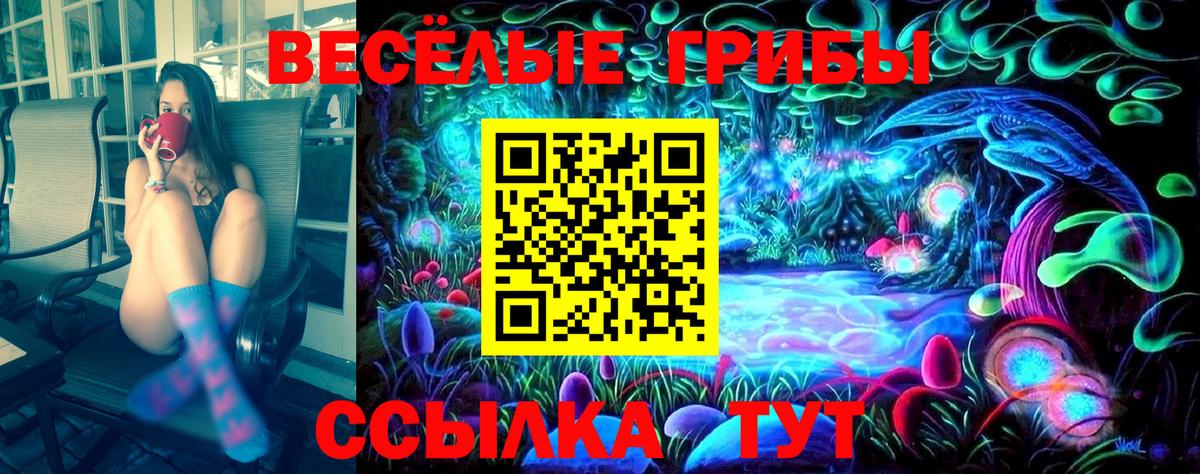 Моздок  Галлюциногенные грибы Magic Shrooms  Галлюциногенные грибы MAGIC MUSHROOMS  купить наркоту  Вход с VPN 