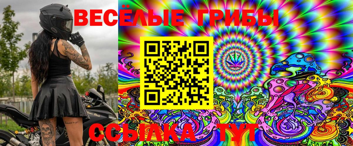Псилоцибиновые грибы Cubensis Моздок